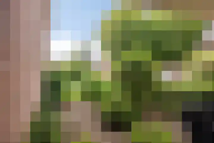 Runstraat 64 a Schaijk thumbnail 36