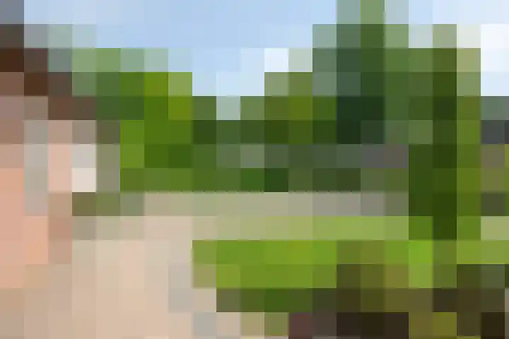 Runstraat 64 a Schaijk thumbnail 37
