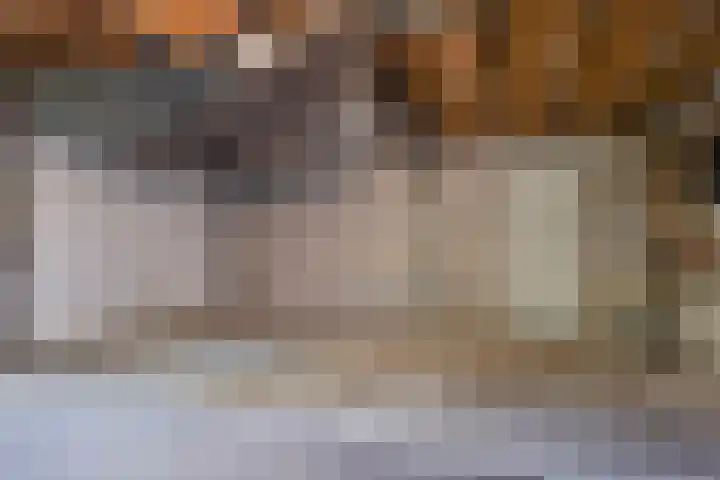 Runstraat 64 a Schaijk thumbnail 39