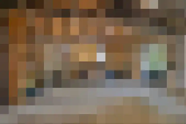 Runstraat 64 a Schaijk thumbnail 41