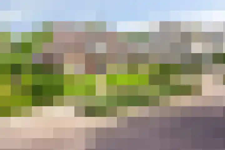 Runstraat 64 a Schaijk thumbnail 45