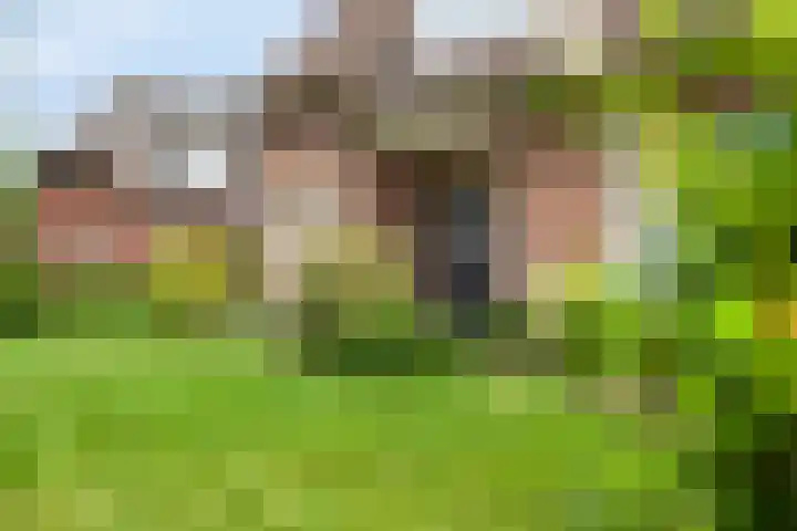 Runstraat 64 a Schaijk thumbnail 46