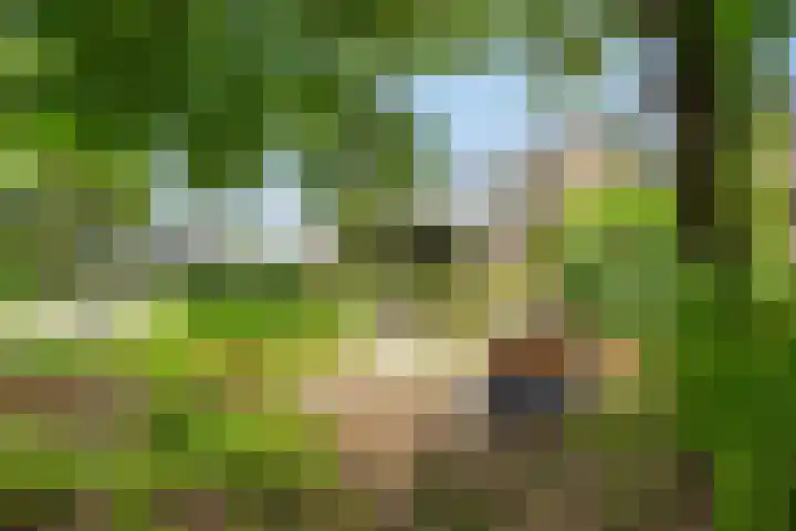 Runstraat 64 a Schaijk thumbnail 47