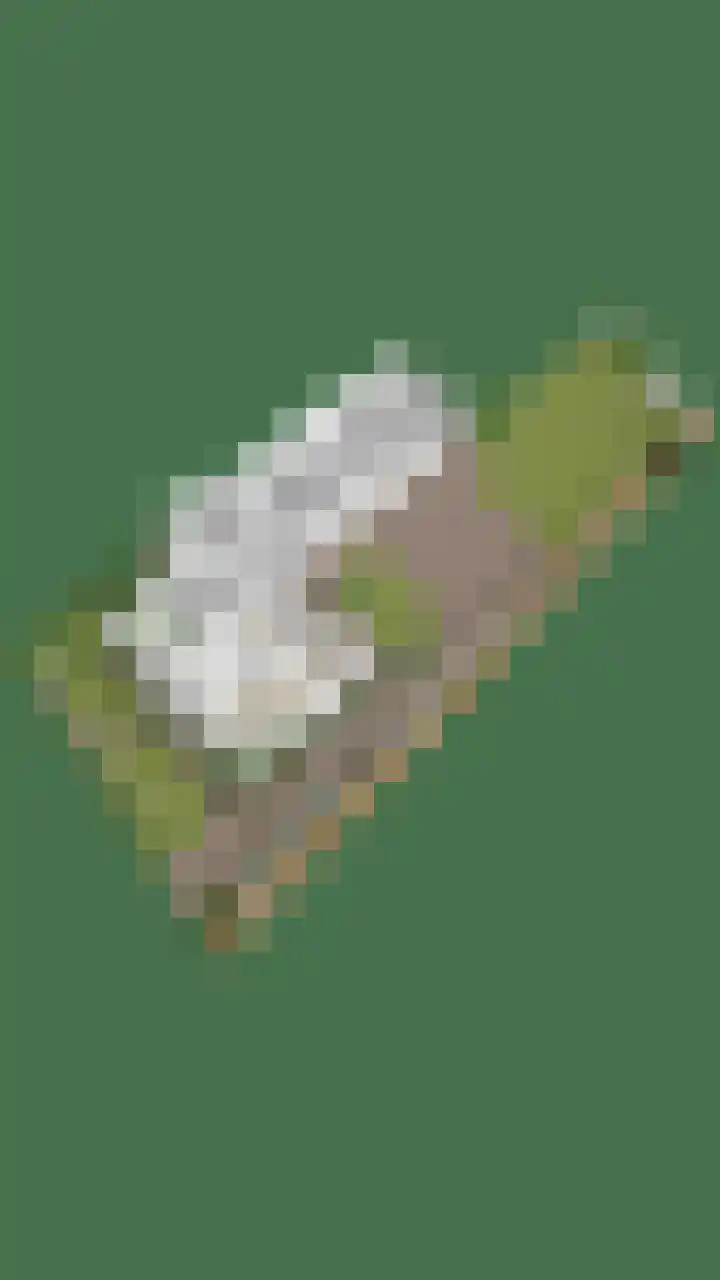 Runstraat 64 a Schaijk thumbnail 49