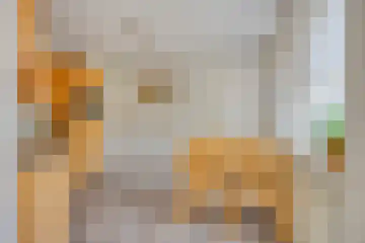 Runstraat 64 a Schaijk thumbnail 8