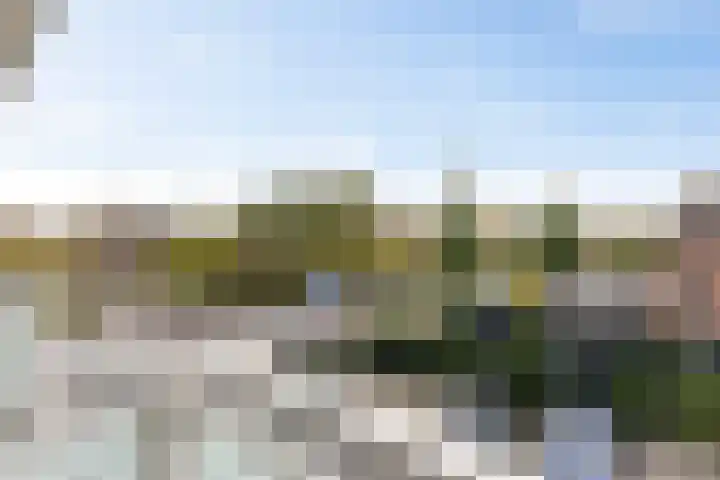 Runweg 2 L Berlicum thumbnail 13