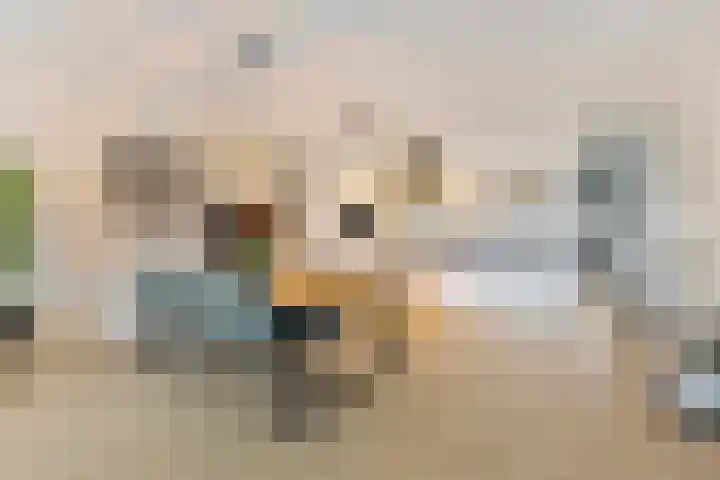 Runweg 2 L Berlicum thumbnail 15