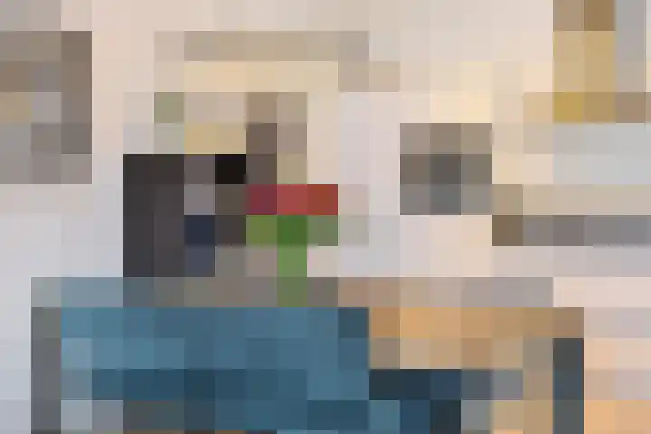 Runweg 2 L Berlicum thumbnail 16