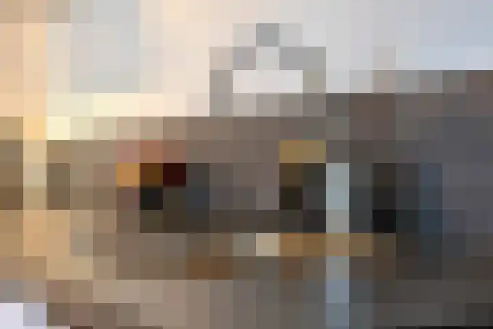 Runweg 2 L Berlicum thumbnail 19