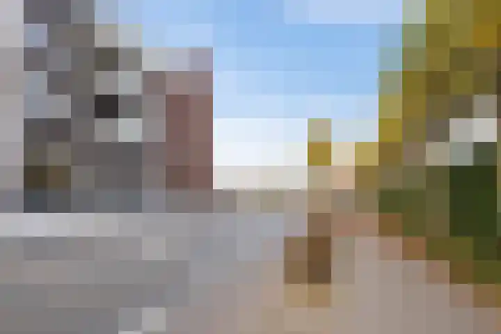 Runweg 2 L Berlicum thumbnail 34