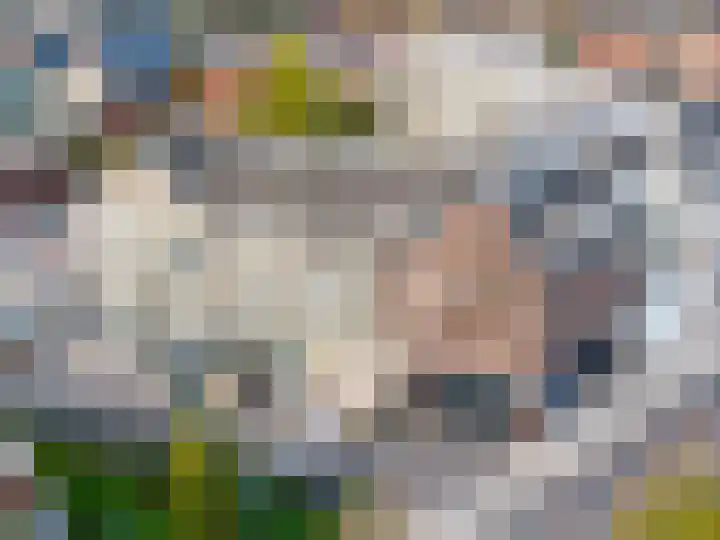 Runweg 2 L Berlicum thumbnail 36
