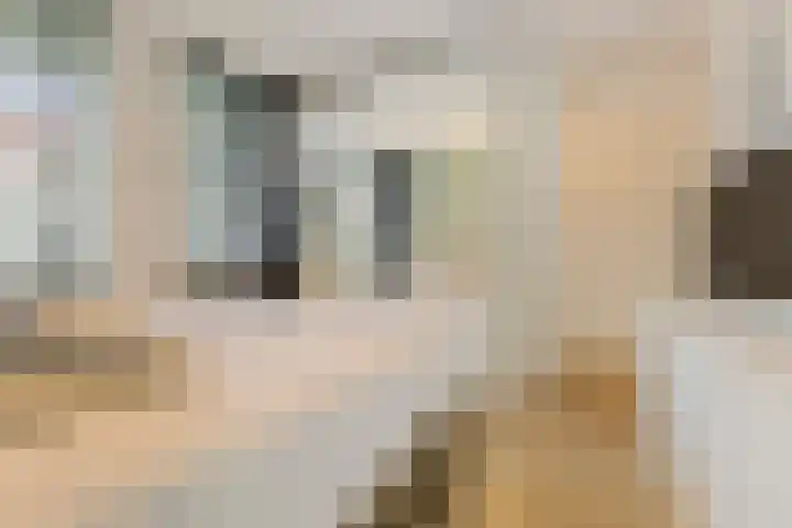 Runweg 2 L Berlicum thumbnail 39