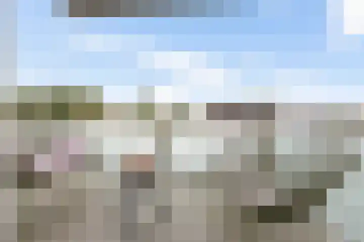 Runweg 2 L Berlicum thumbnail 4