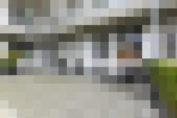 Runweg 2 L Berlicum thumbnail 6