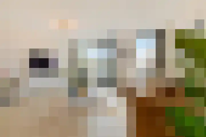 Runweg 2 L Berlicum thumbnail 8