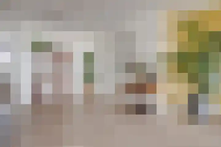 Runweg 4 E Berlicum thumbnail 13