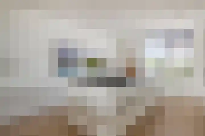 Runweg 4 E Berlicum thumbnail 15