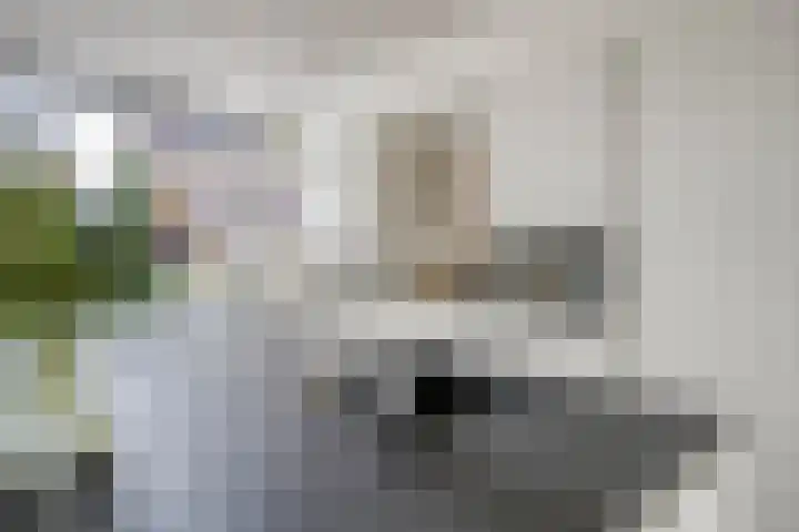 Runweg 4 E Berlicum thumbnail 16