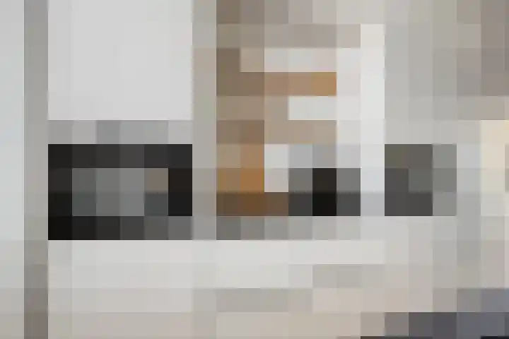 Runweg 4 E Berlicum thumbnail 18