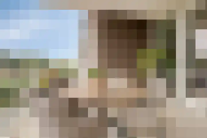 Runweg 4 E Berlicum thumbnail 22
