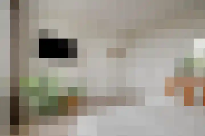 Runweg 4 E Berlicum thumbnail 26
