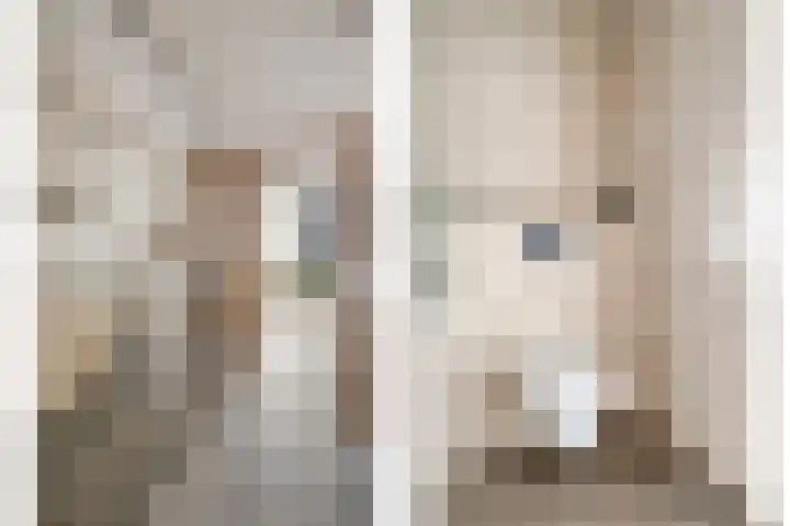Runweg 4 E Berlicum thumbnail 29