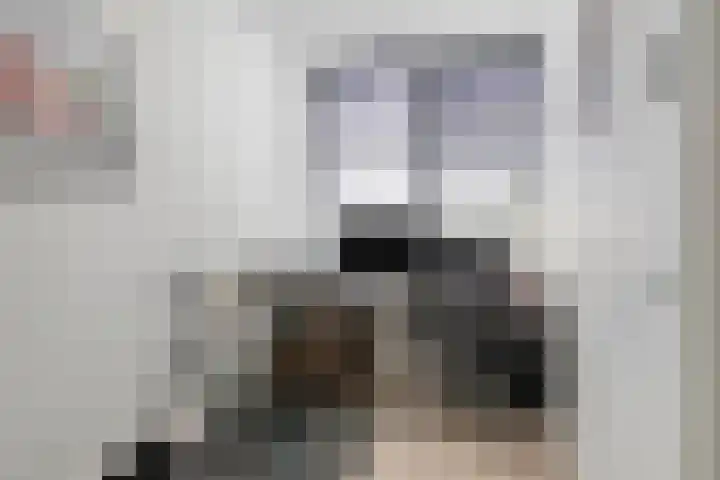 Runweg 4 E Berlicum thumbnail 33