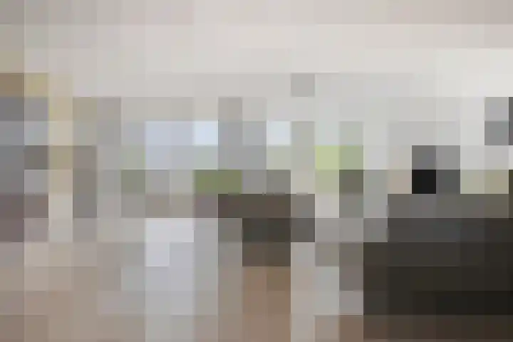 Runweg 4 E Berlicum thumbnail 4