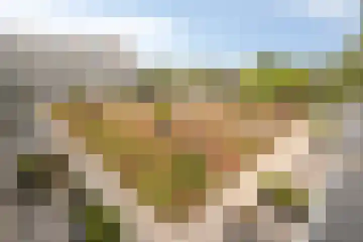 Runweg 4 E Berlicum thumbnail 40