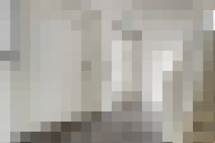 Runweg 4 E Berlicum thumbnail 43