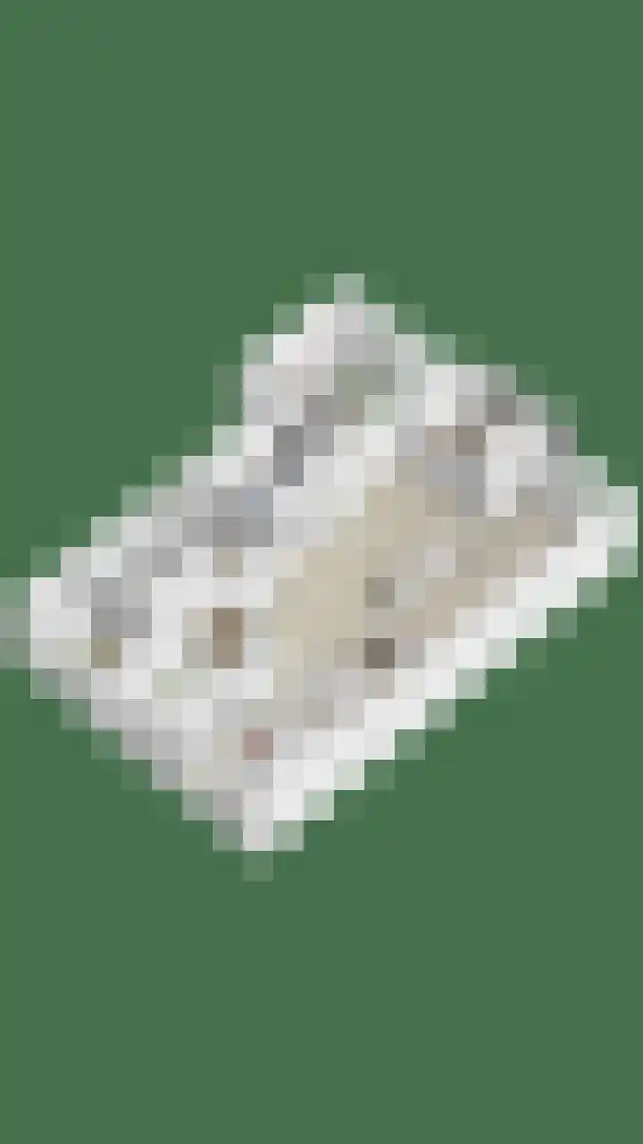 Runweg 4 E Berlicum thumbnail 49