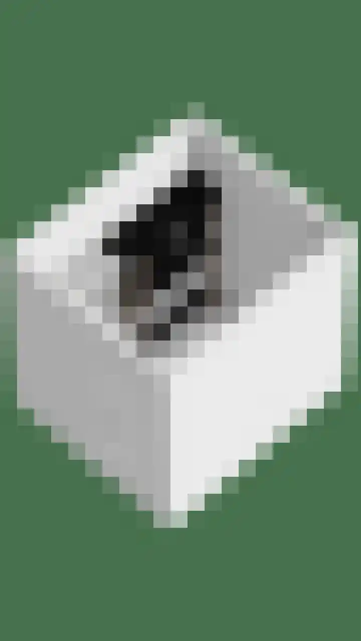 Runweg 4 E Berlicum thumbnail 50