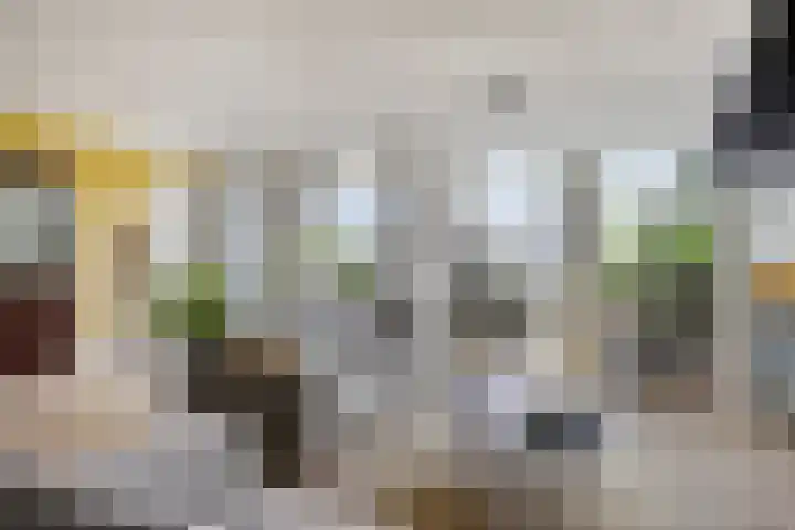 Runweg 4 E Berlicum thumbnail 7