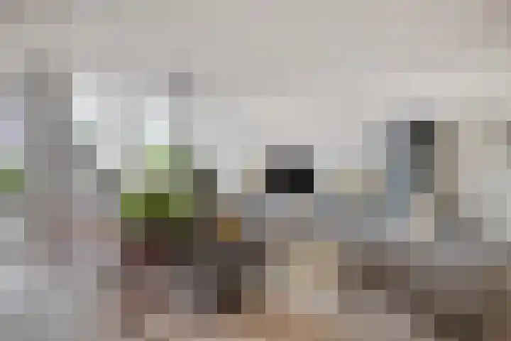 Runweg 4 E Berlicum thumbnail 8