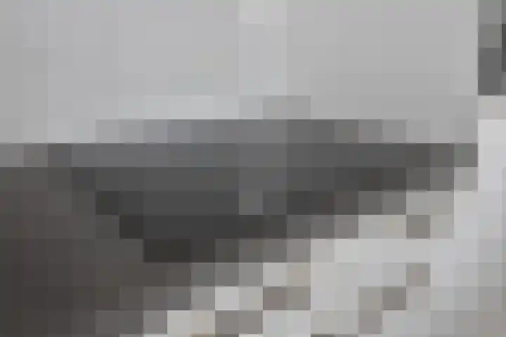 Runweg 4 H Berlicum thumbnail 10