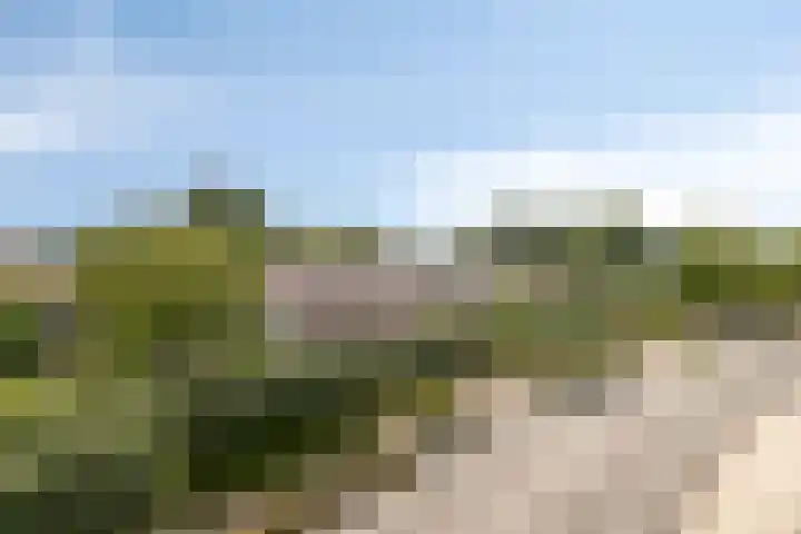 Runweg 4 H Berlicum thumbnail 18