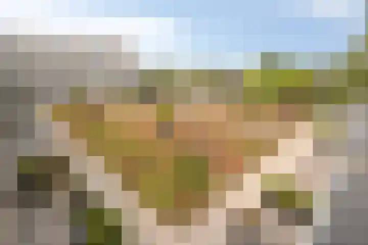 Runweg 4 H Berlicum thumbnail 35