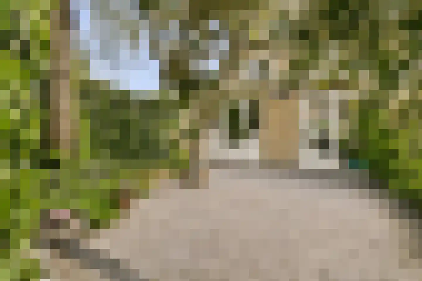 Rupel 25 Amstelveen thumbnail 4