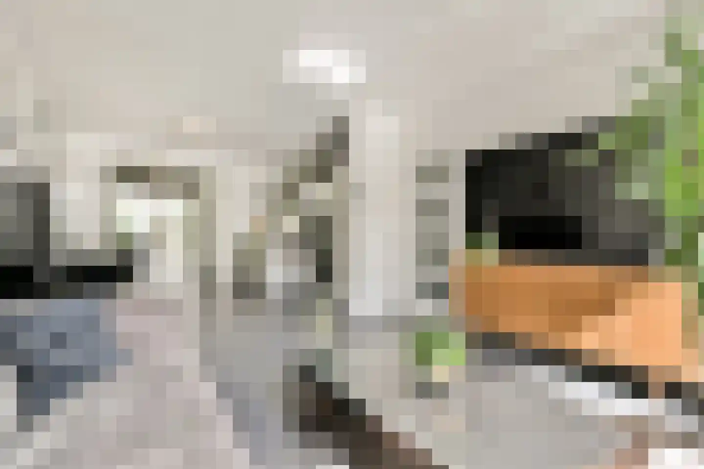 Rupel 25 Amstelveen thumbnail 6