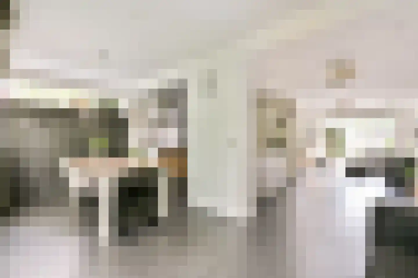 Rupel 25 Amstelveen thumbnail 7