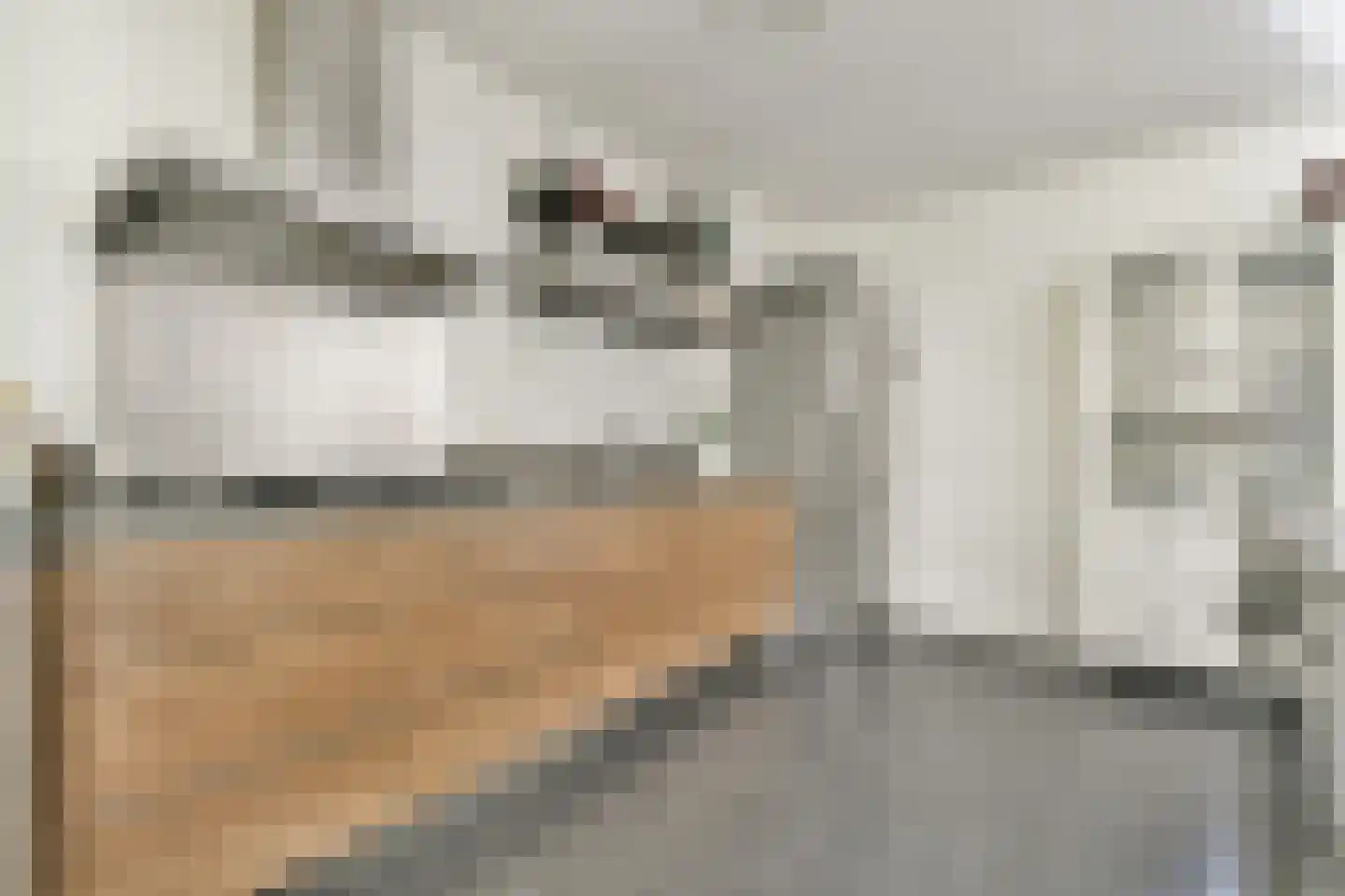 Rupel 25 Amstelveen thumbnail 8