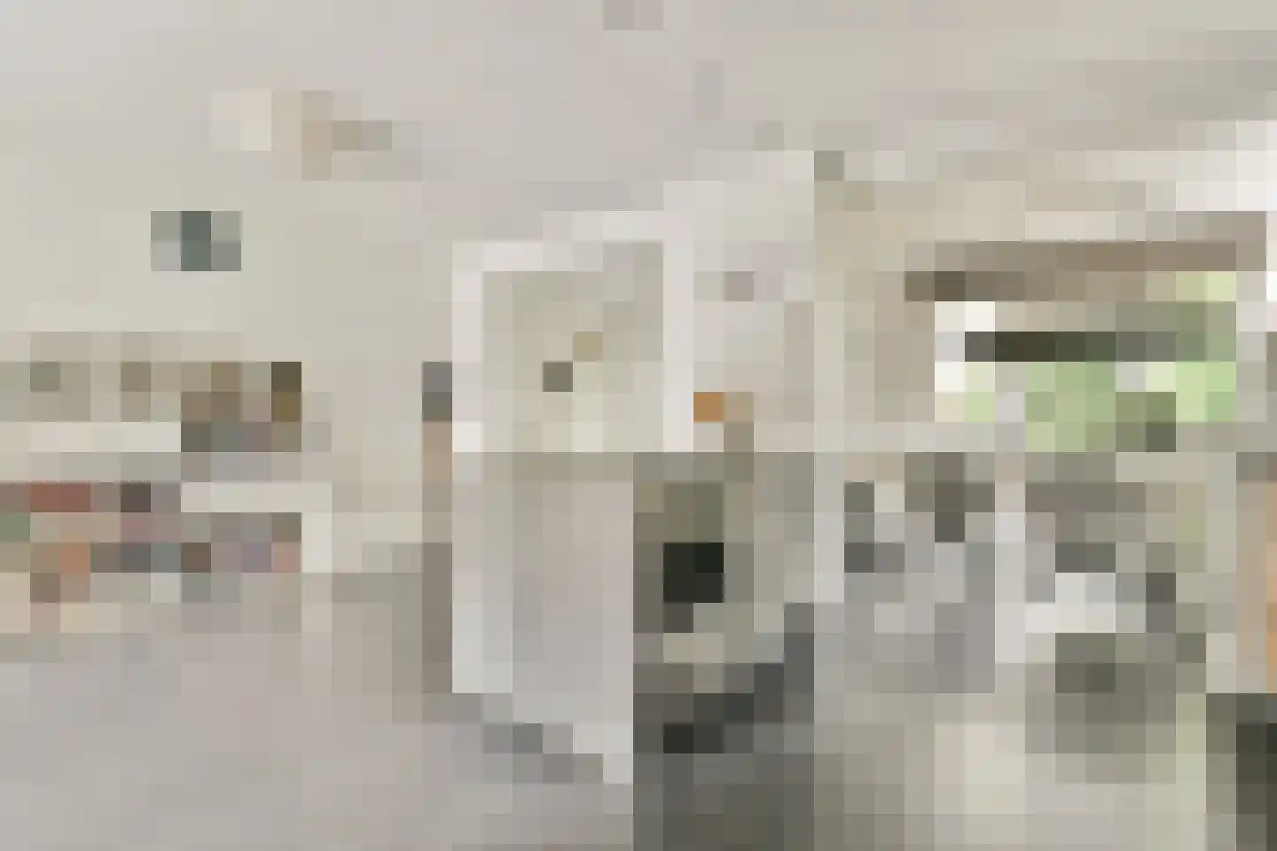 Rupel 25 Amstelveen thumbnail 9