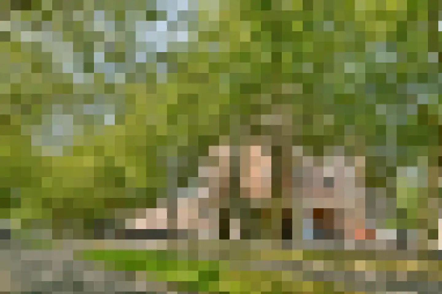 Rupelmonde 102 Amsterdam thumbnail 18