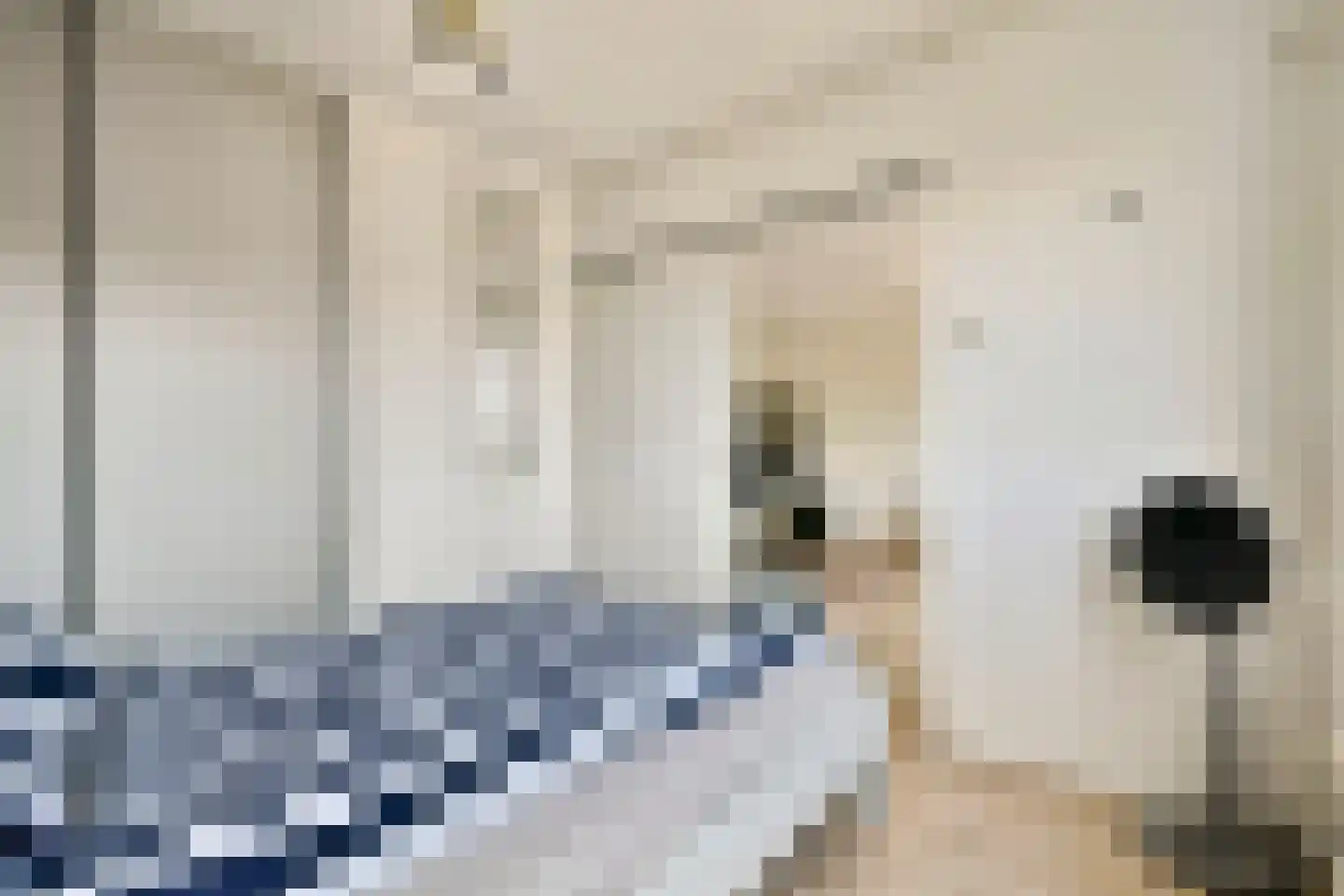 Rupelmonde 102 Amsterdam thumbnail 9