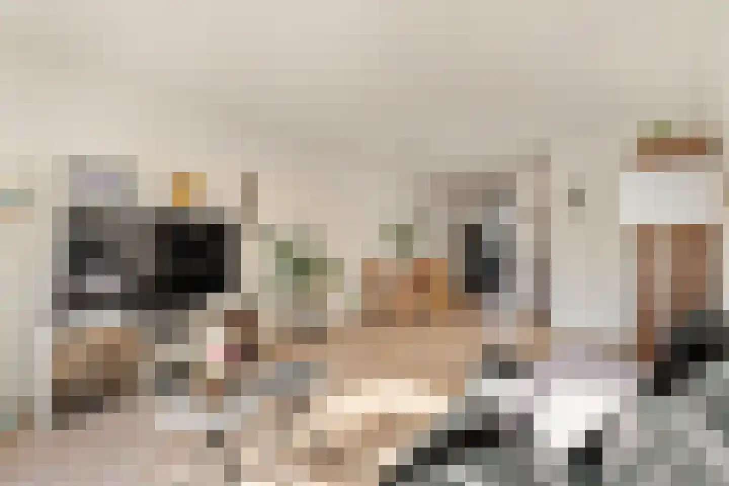Rupelmonde 44 Amsterdam thumbnail 4