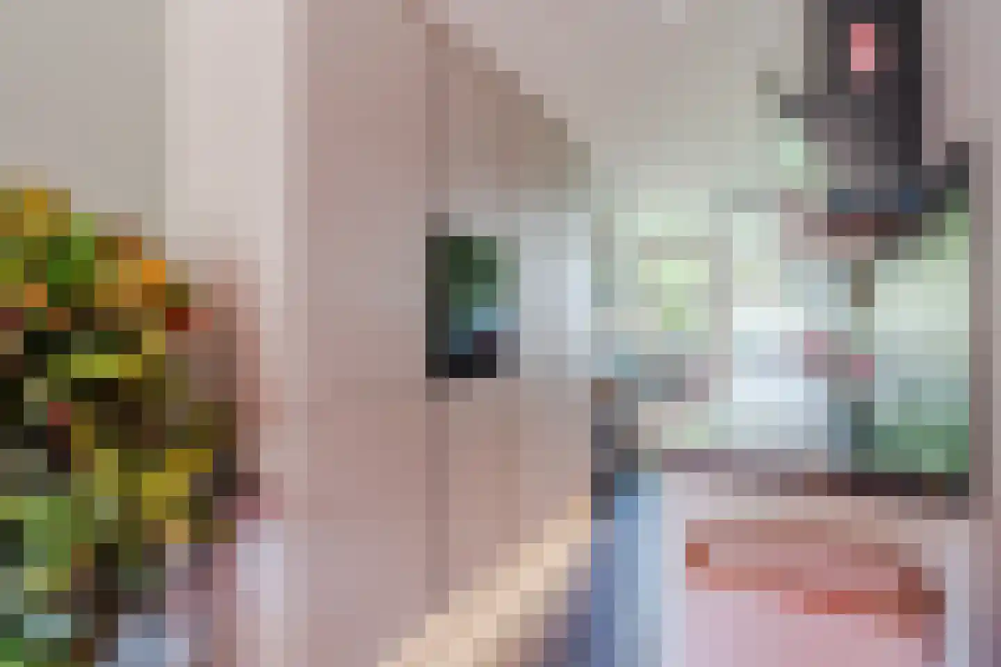 Rupelmonde 76 Amsterdam thumbnail 13