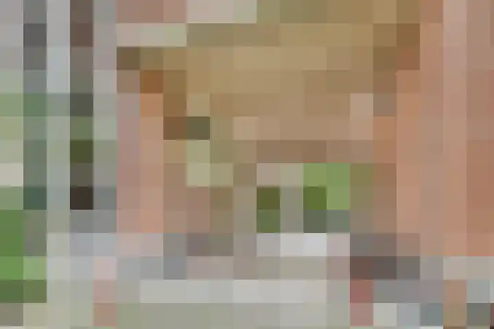 Rupelmonde 76 Amsterdam thumbnail 28
