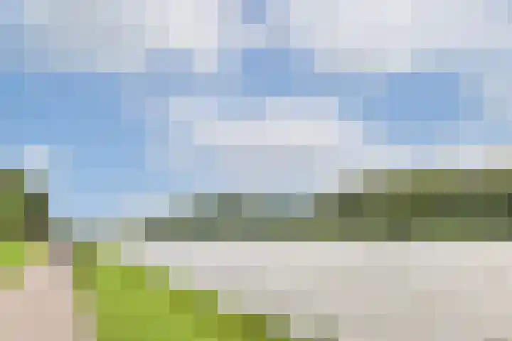 Rupelmonde 76 Amsterdam thumbnail 32