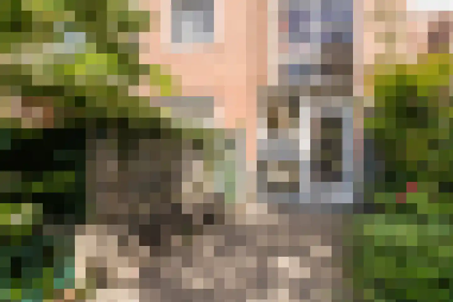 Rupelmonde 76 Amsterdam thumbnail 33