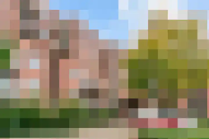 Rupelmonde 84 Amsterdam thumbnail 17